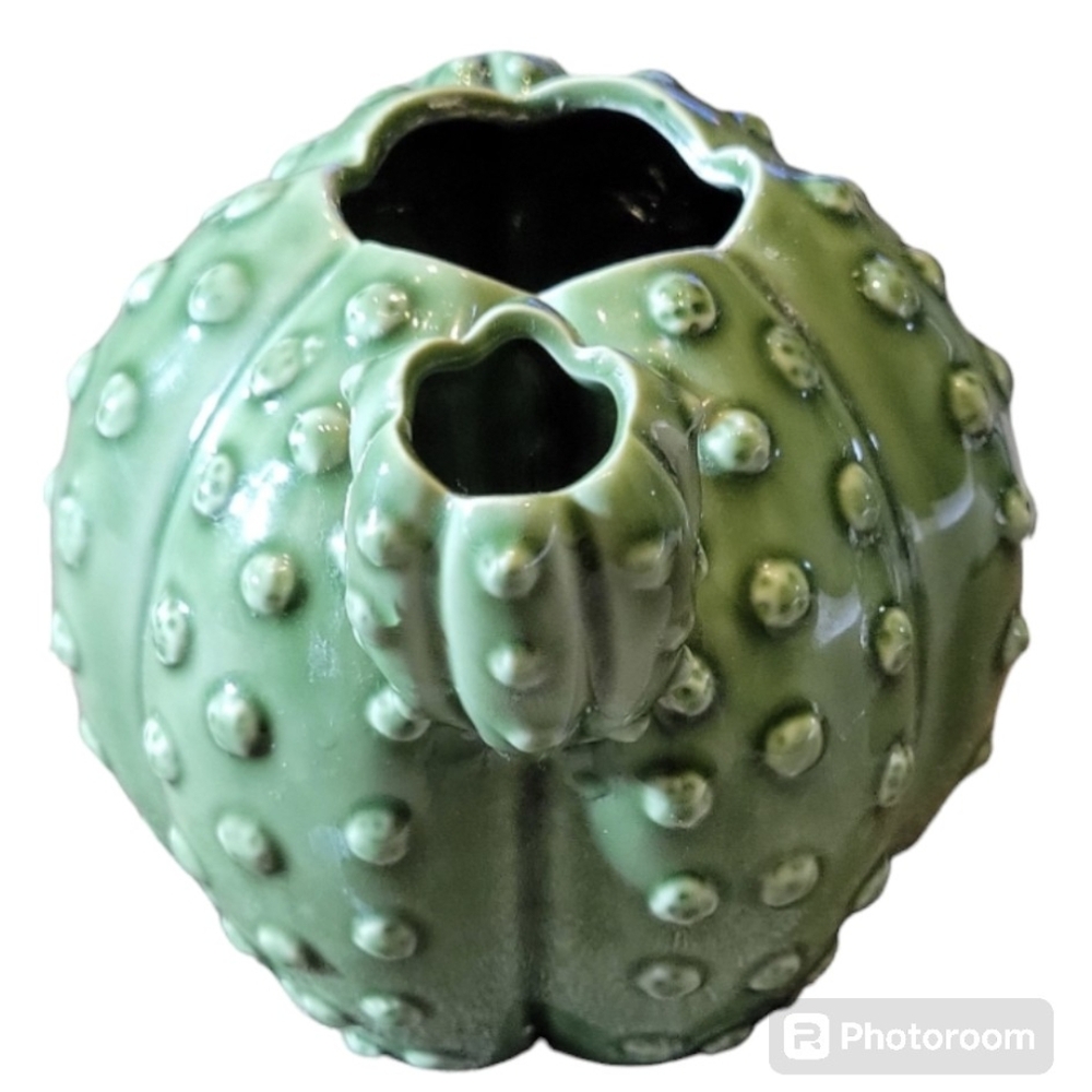 Cactus Planter Pot - Picture 2 of 6